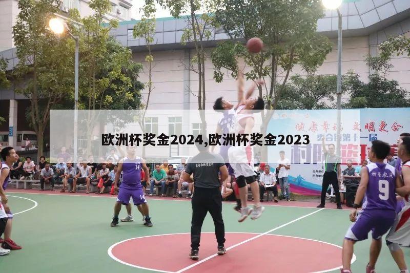 欧洲杯奖金2024,欧洲杯奖金2023