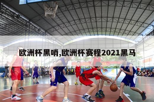 欧洲杯黑哨,欧洲杯赛程2021黑马