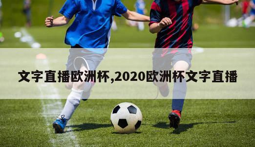 文字直播欧洲杯,2020欧洲杯文字直播