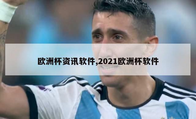 欧洲杯资讯软件,2021欧洲杯软件