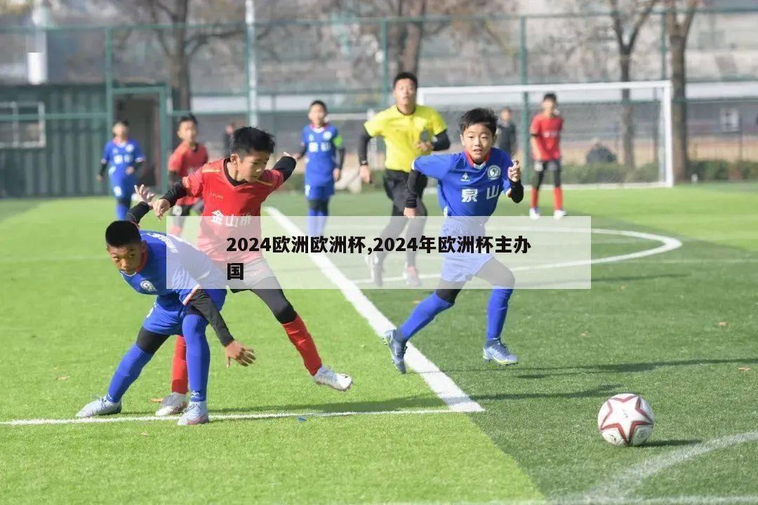 2024欧洲欧洲杯,2024年欧洲杯主办国