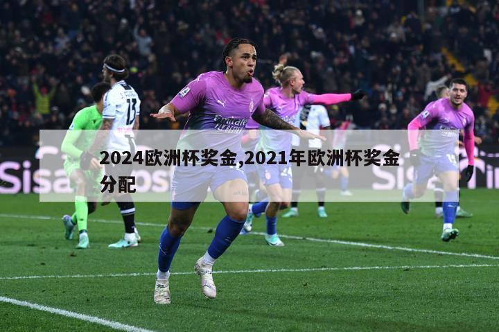 2024欧洲杯奖金,2021年欧洲杯奖金分配