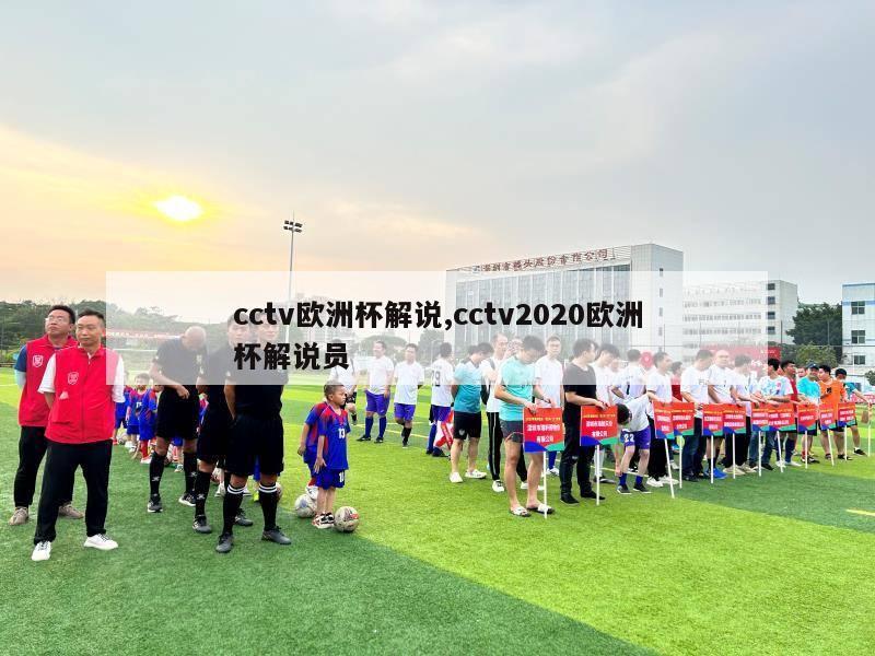 cctv欧洲杯解说,cctv2020欧洲杯解说员